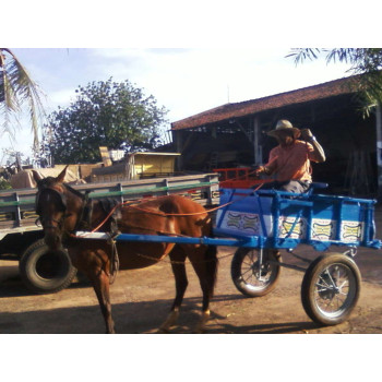 Veículo de Tração Animal
